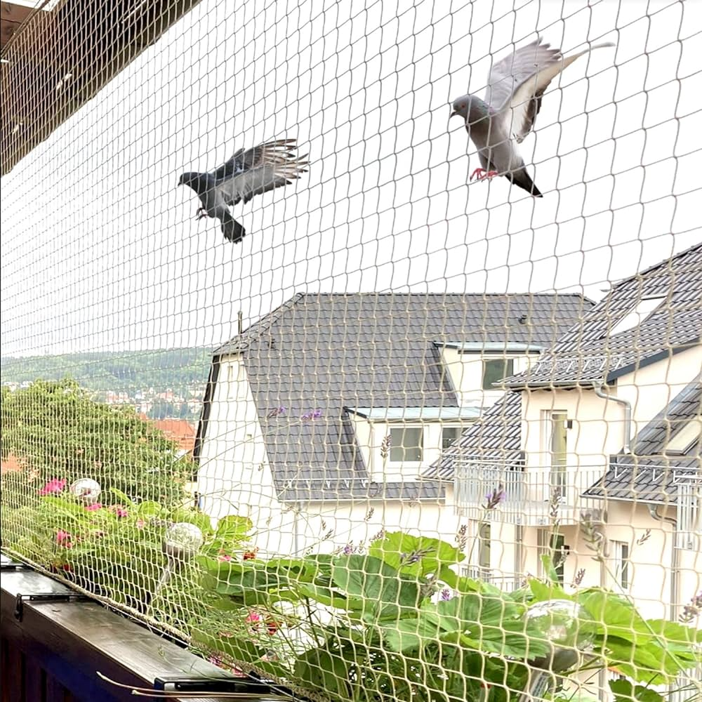 Bird Net in Dubai