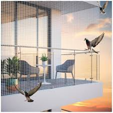 Bird Net in Dubai