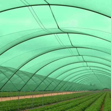 Shade Net Suppliers in Dubai