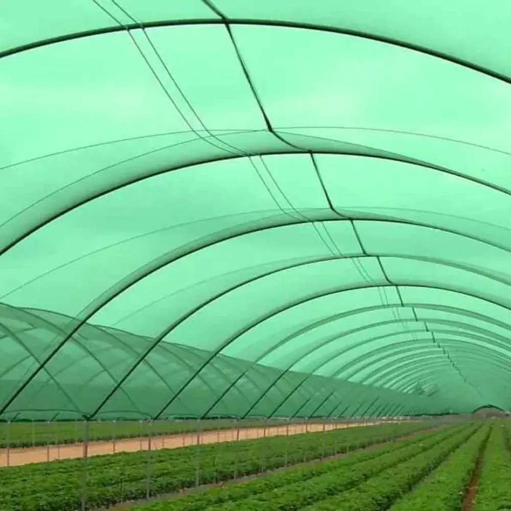 Shade Net Suppliers in Dubai