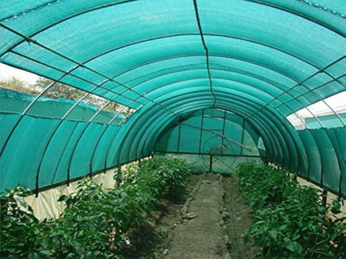 Shade Nettings