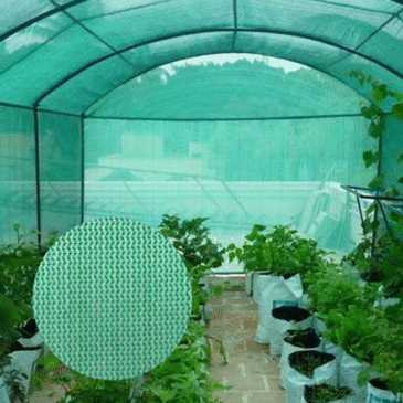 Green Shade Net in Dubai