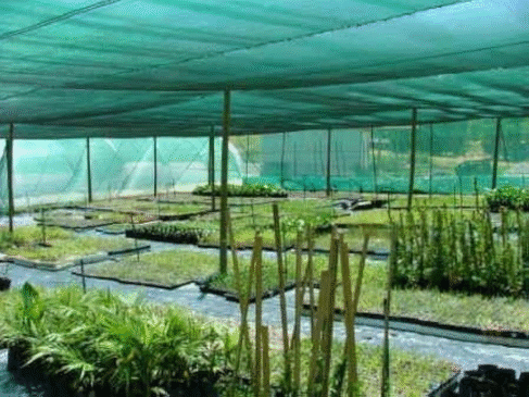 Green Shade Net