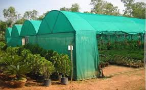 Green Shade Nets