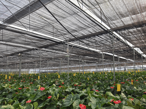 Waterproof Shade Net in Dubai