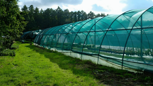 Shade Net Suppliers in Dubai