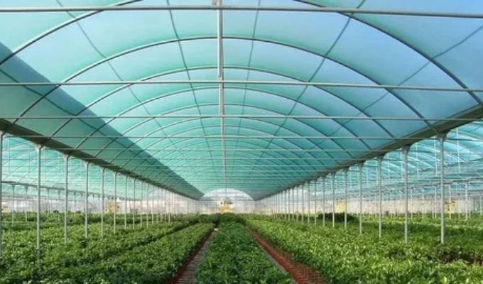 Shade Net Suppliers in Dubai