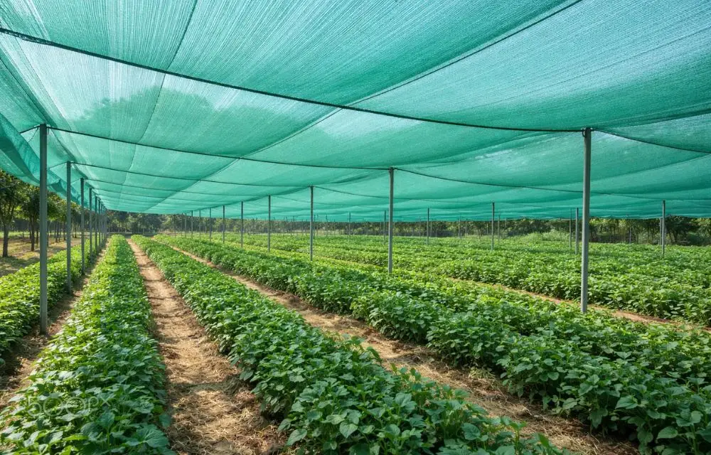 Shade Nets Dubai