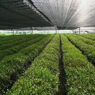 HDPE Shade in Dubai